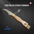 Coltello Cogli Funghi + Bussola e Accessori - Ausonia