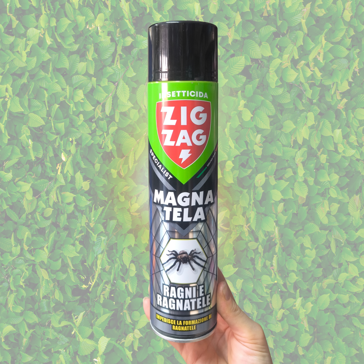 Insetticida Magnatela Zig Zag – Anti-Ragni e Ragnatele Spray (600 ml)
