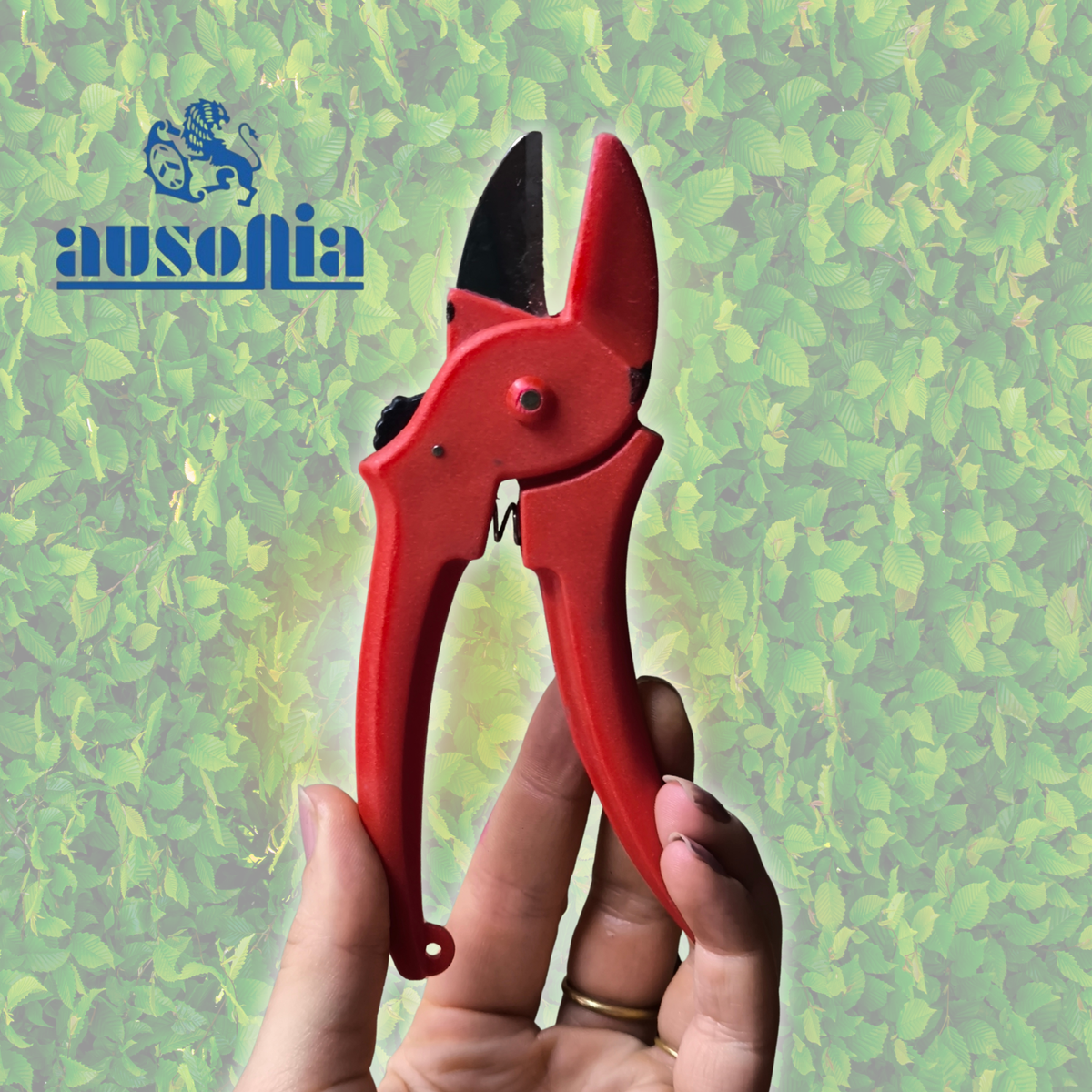 Cesoietta multiuso - Ausonia